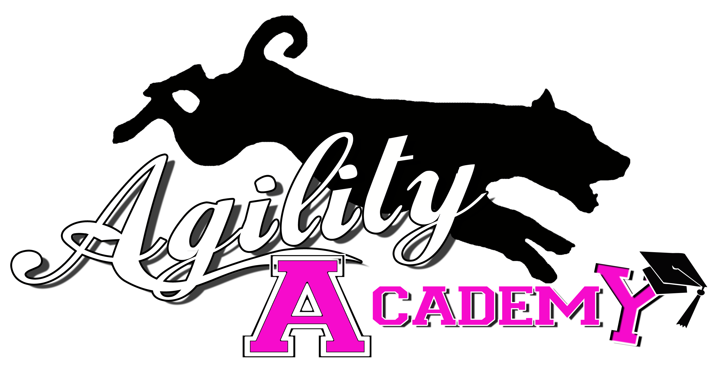 Agility Academy