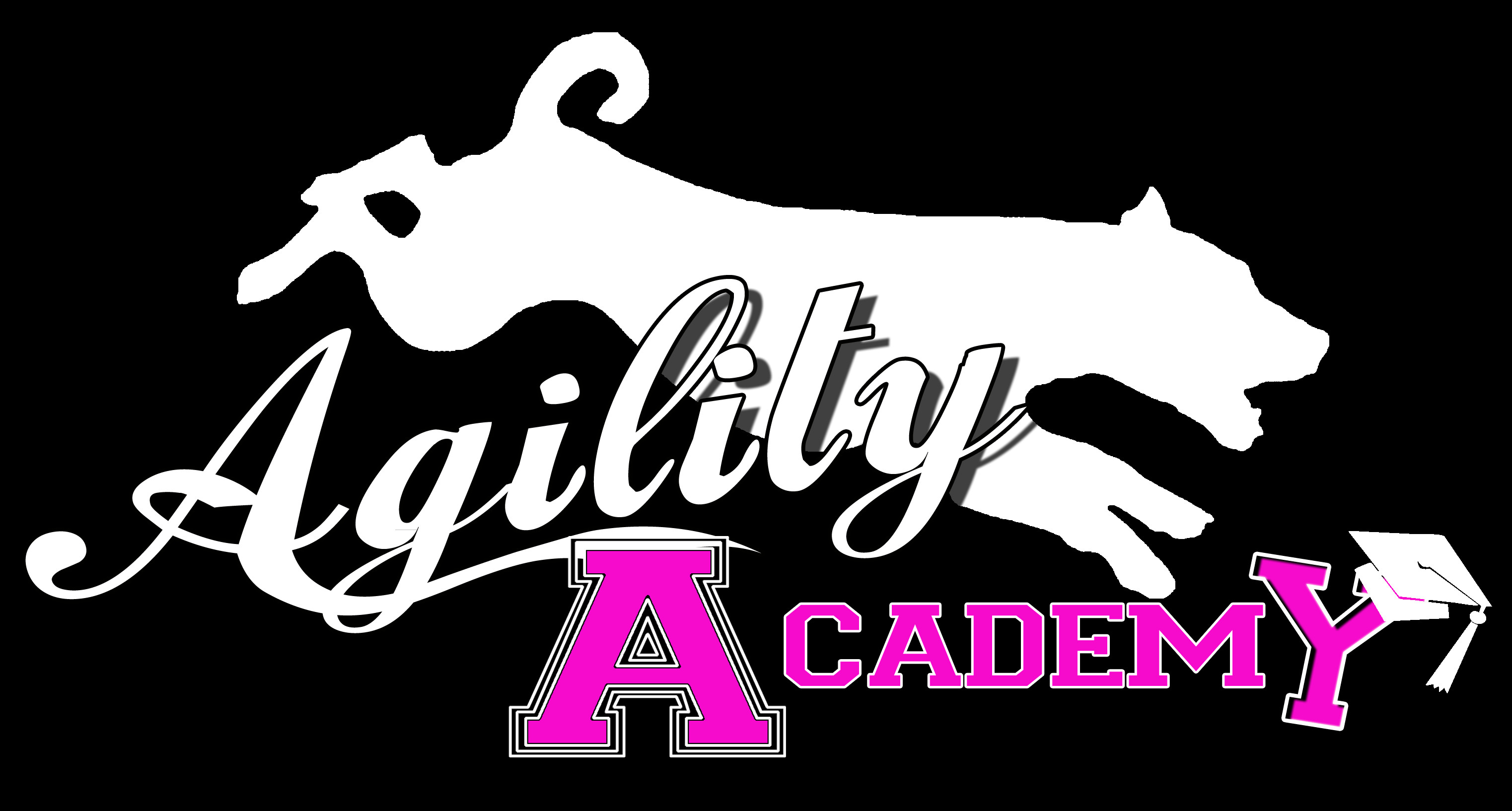 Agility Academy